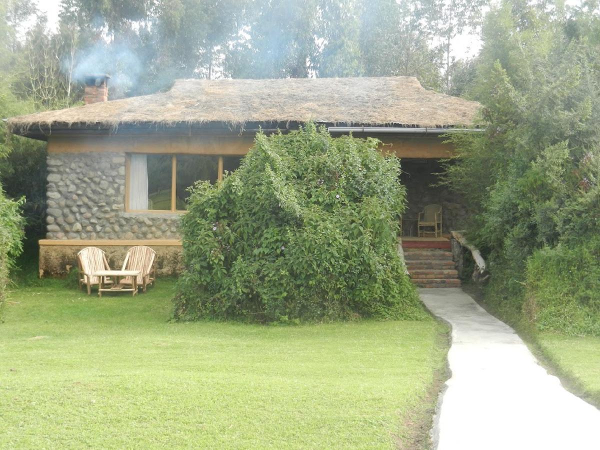 Mountain Gorilla View Lodge Musanze Kültér fotó